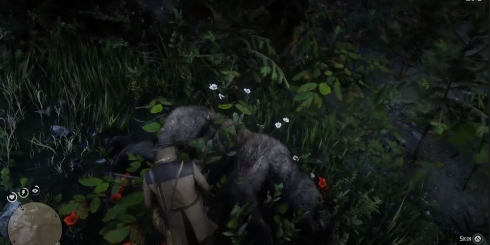 Red Dead Redemption 2 Legendary Bear Body On The Ground