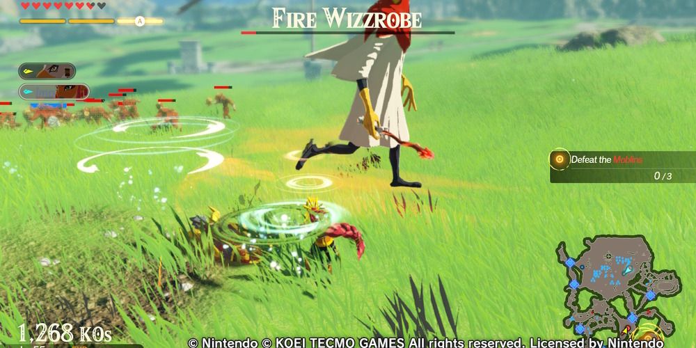 Riju and Fire Wizzrobe Age of Calamity