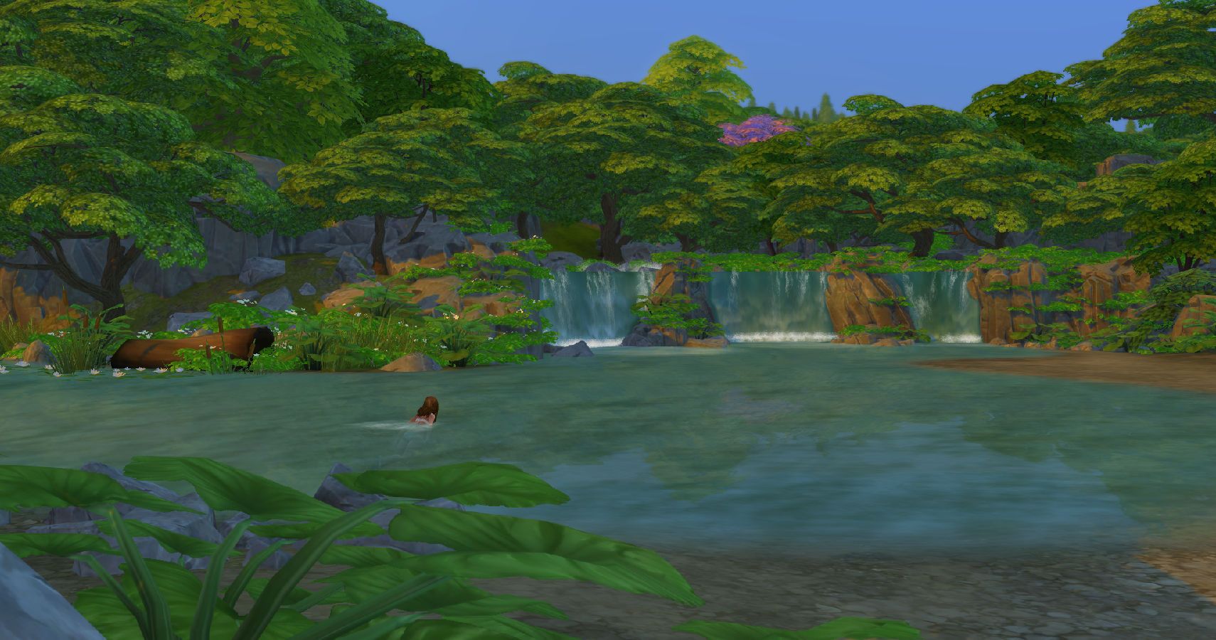 A sim swimming in the river in wakaba