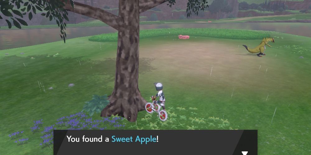 Sweet Apple in Axew's Eye in Sword and Shield's Wild Area
