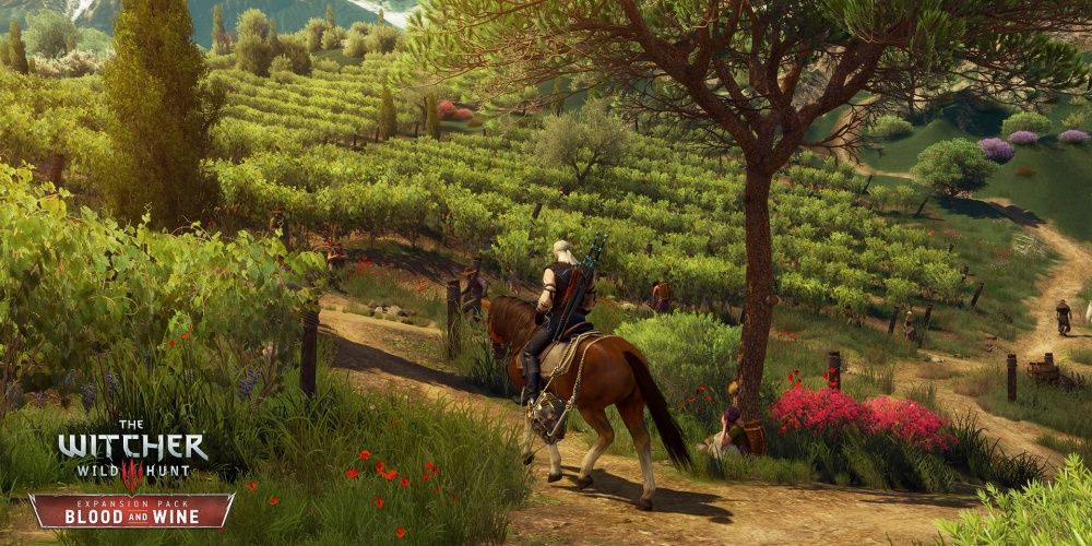 Witcher 3 Blood And Wine Screenshot Geralt By Vineyard