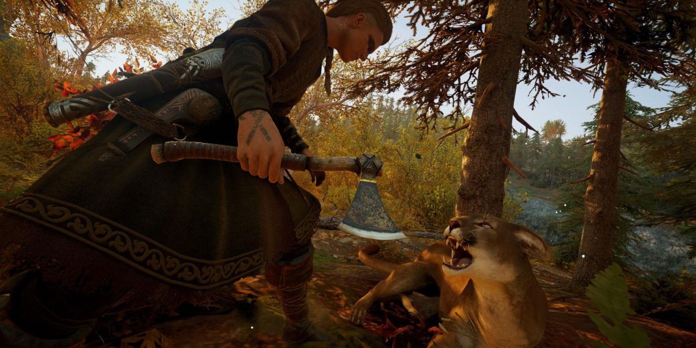 Cougar in Vinland in Assassin's Creed Valhalla