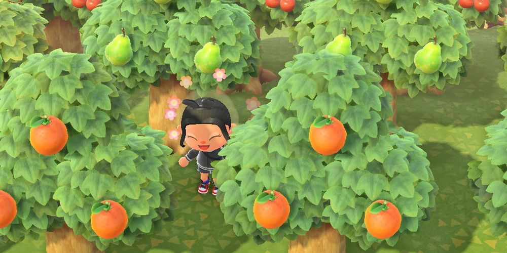Too many trees in Animal Crossing: New Horizons