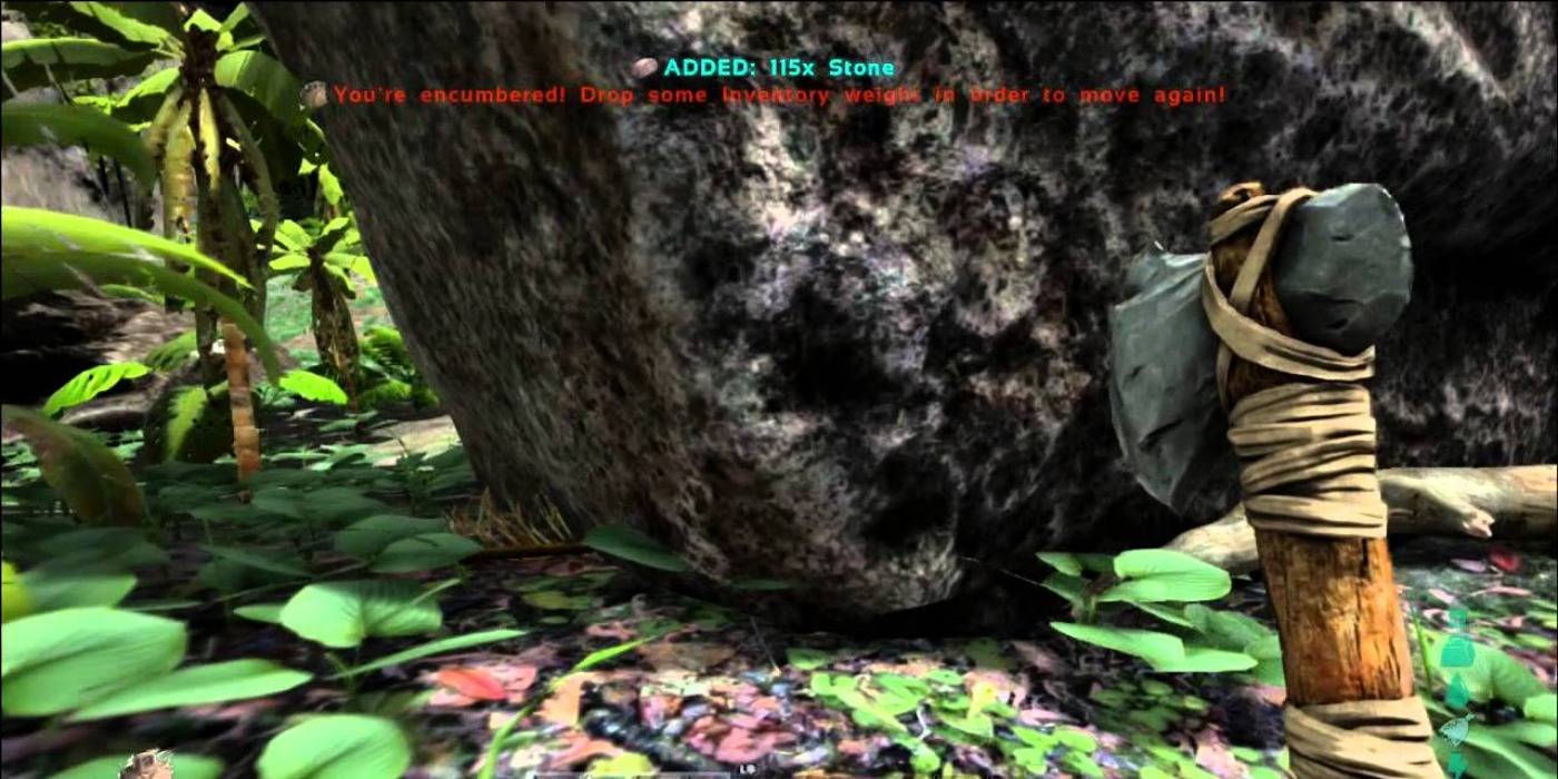 Ark Survival Evolved The Most Useful Single Player Cheat Codes Ark Survival Evolved The Most Useful Single Player Cheat Codes