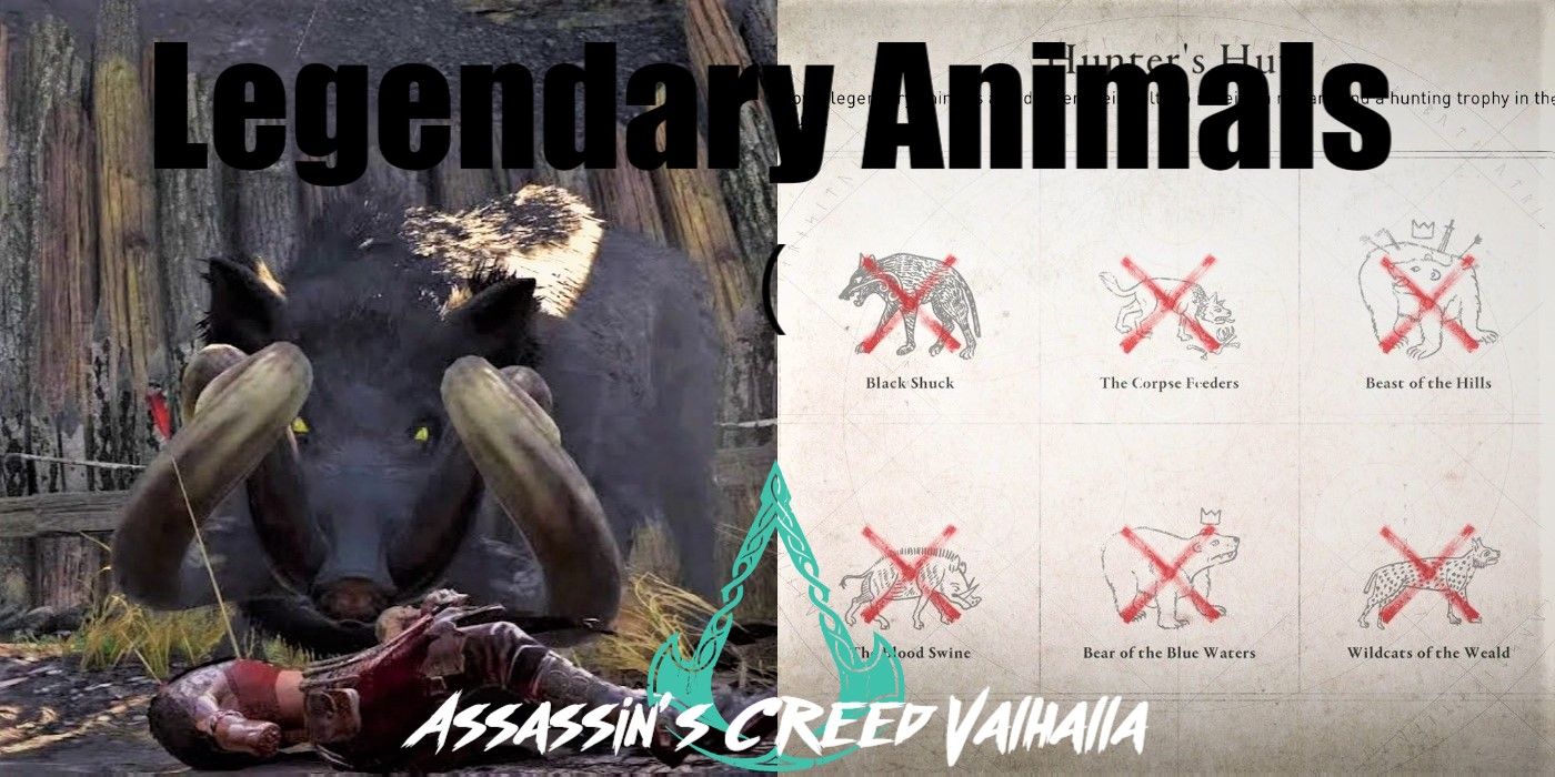 Assassin S Creed Valhalla All The Legendary Animals How To Defeat Them