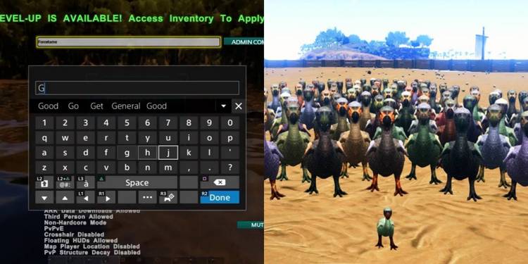 Ark Survival Evolved The Most Useful Single Player Cheat Codes Betst Ark Map Out There 2022