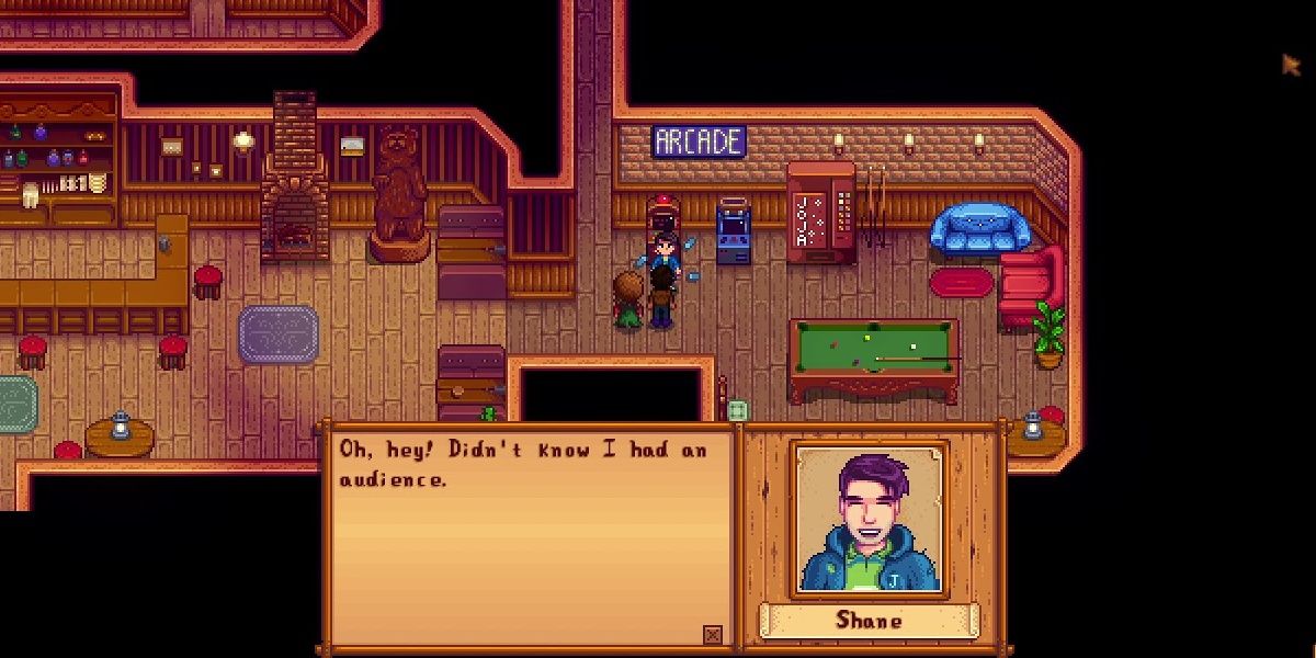 Shane in the arcade Stardew Valley