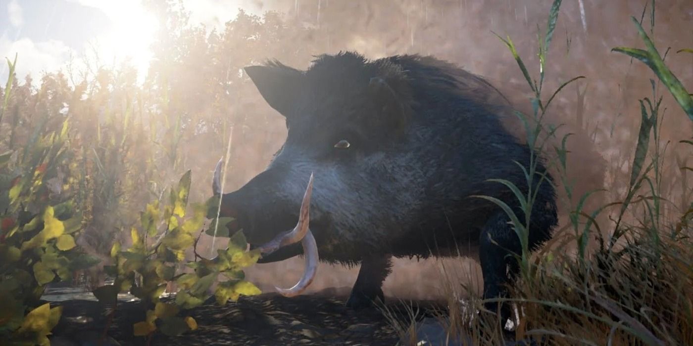 The Blood Swine is a legendary animal in Assassin's Creed Valhalla