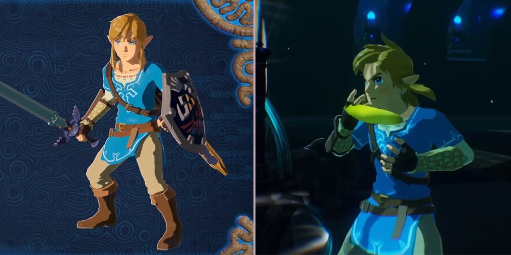 Link from Hyrule Warriors: Age of Calamity