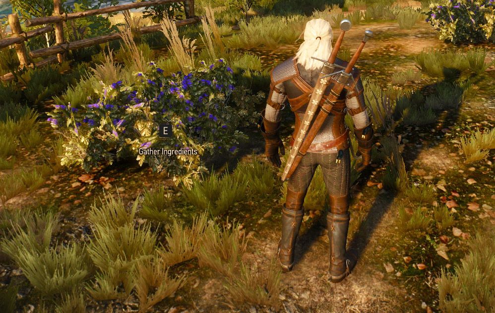 Geralt gathering ingredients in The Witcher 3