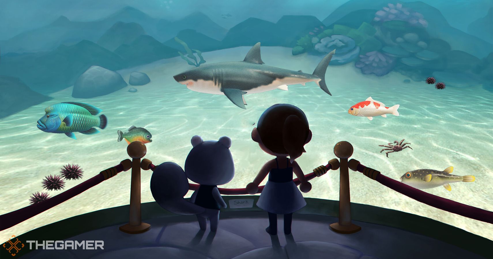 Animal Crossing: New Horizons - February's Most Valuable Fish & Sea  Creatures