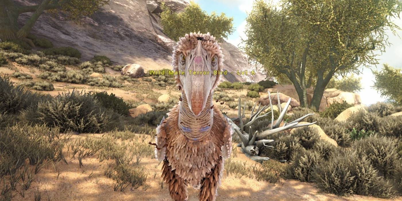 10 Things To Know Before Playing Ark Survival Evolved