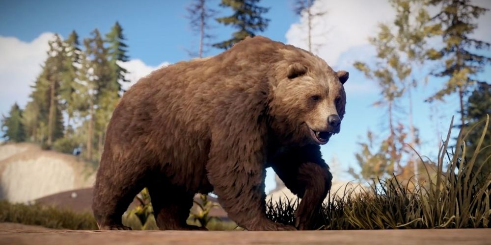 Rust: Every Animal Ranked By How Dangerous They Are (And What Items ...