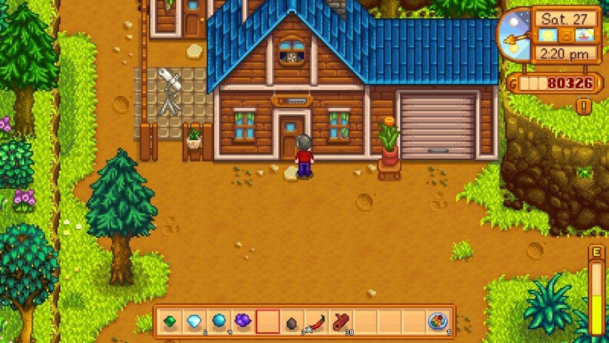 Проект робин stardew valley баг