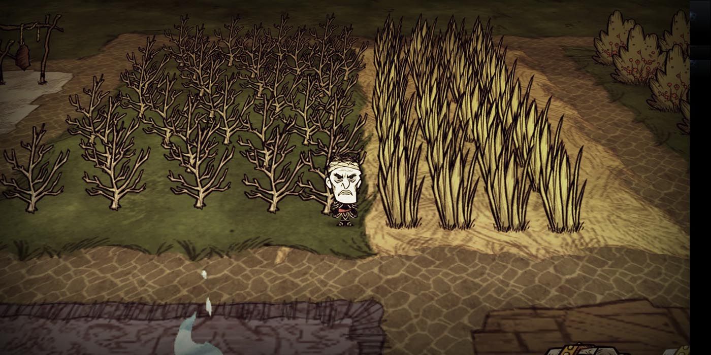 Replanting in Don't Starve Together