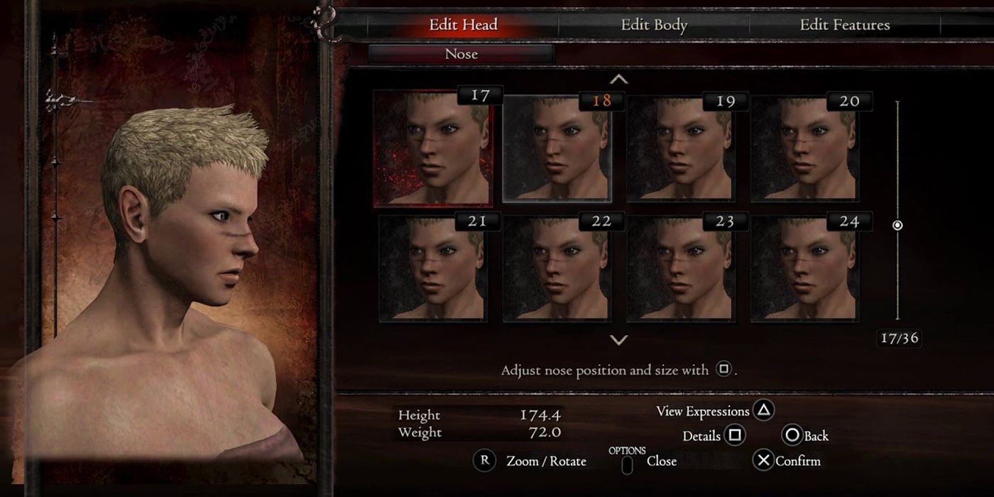 Dragons Dogma: Dark Arisen - An Example Of Just The Nose Settings