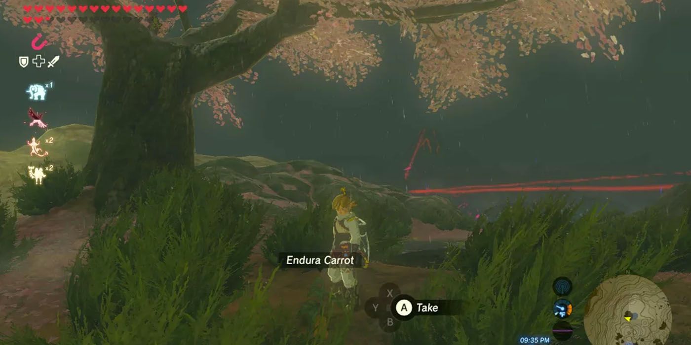Link looks at an Endura Carrot in a forest