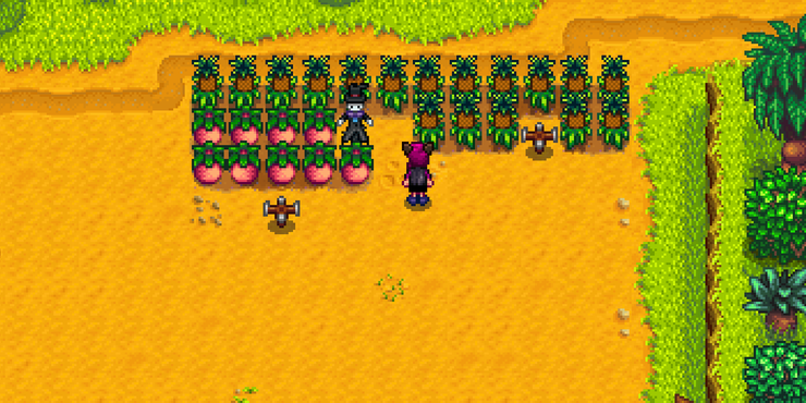 Stardew Valley Everything You Need To Know About The Fern Islands