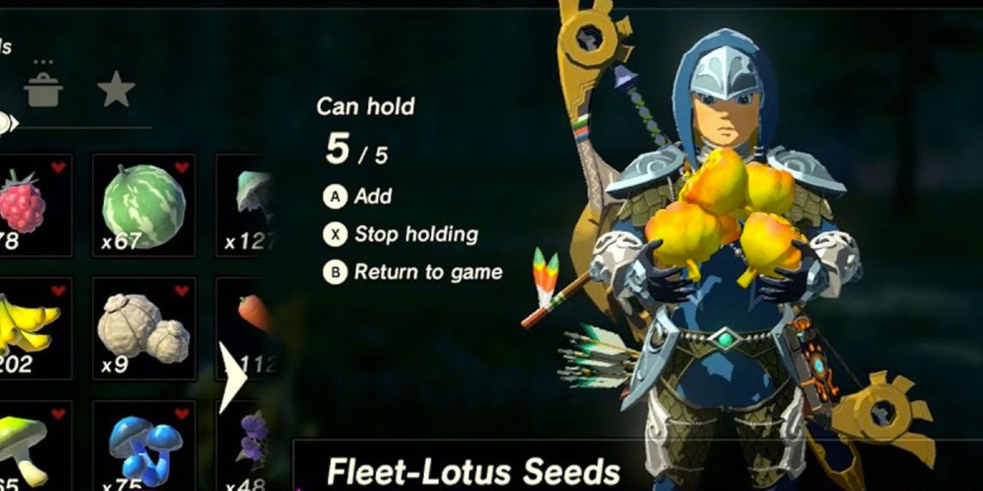 Link holds Fleet-Lotus Seeds