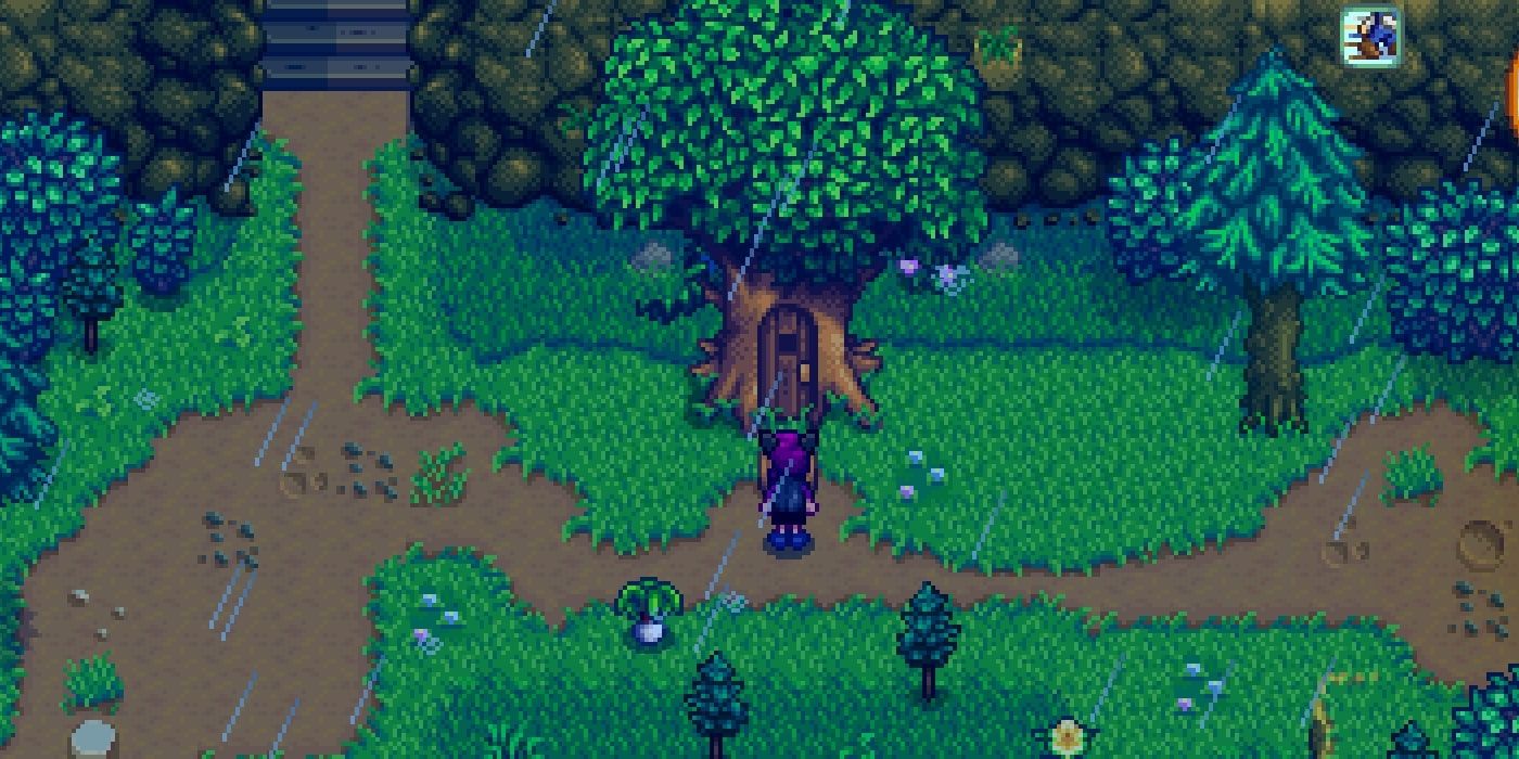 Stardew Valley: Everything You Need to Know About Leo