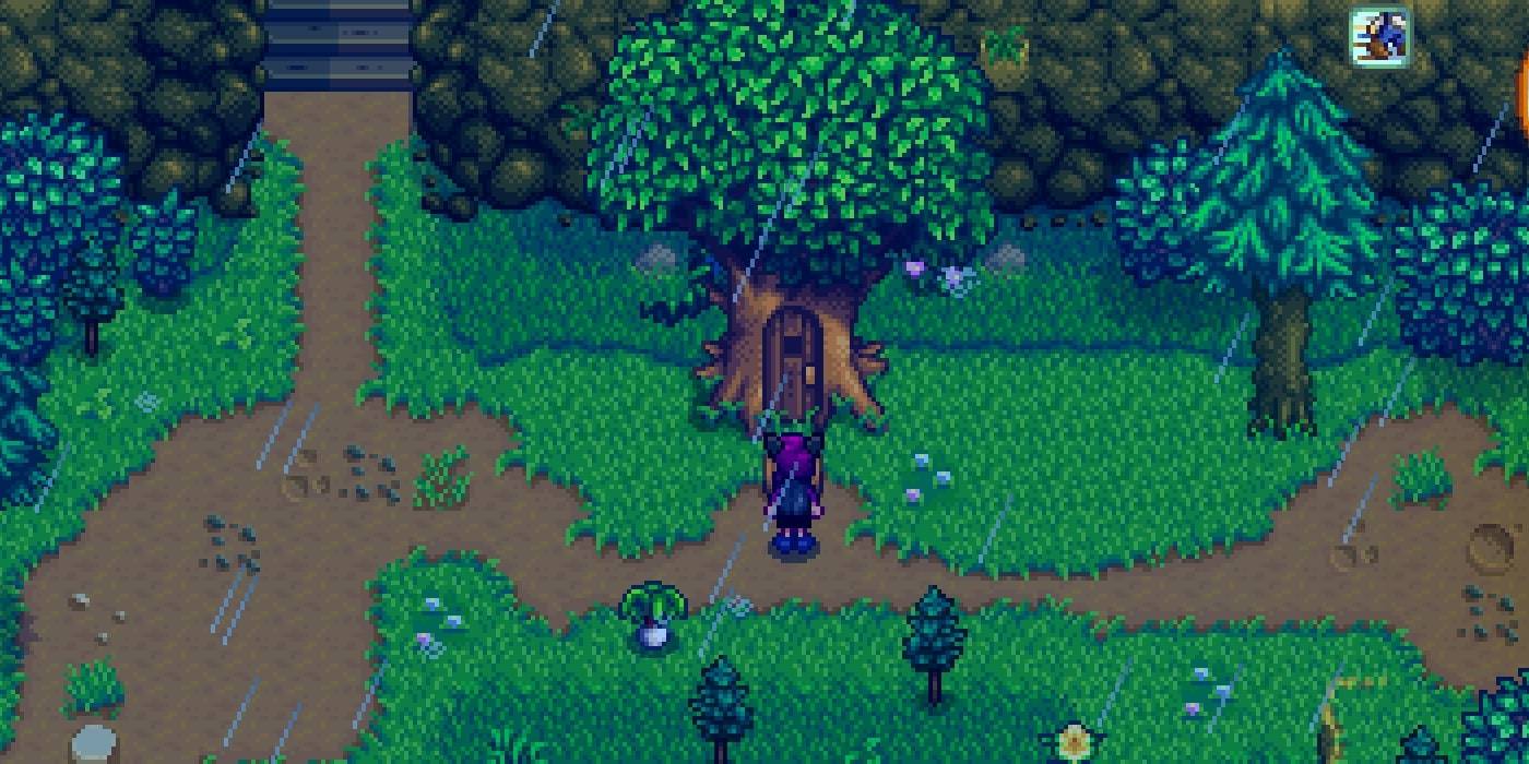 Stardew Valley Everything You Need To Know About Leo