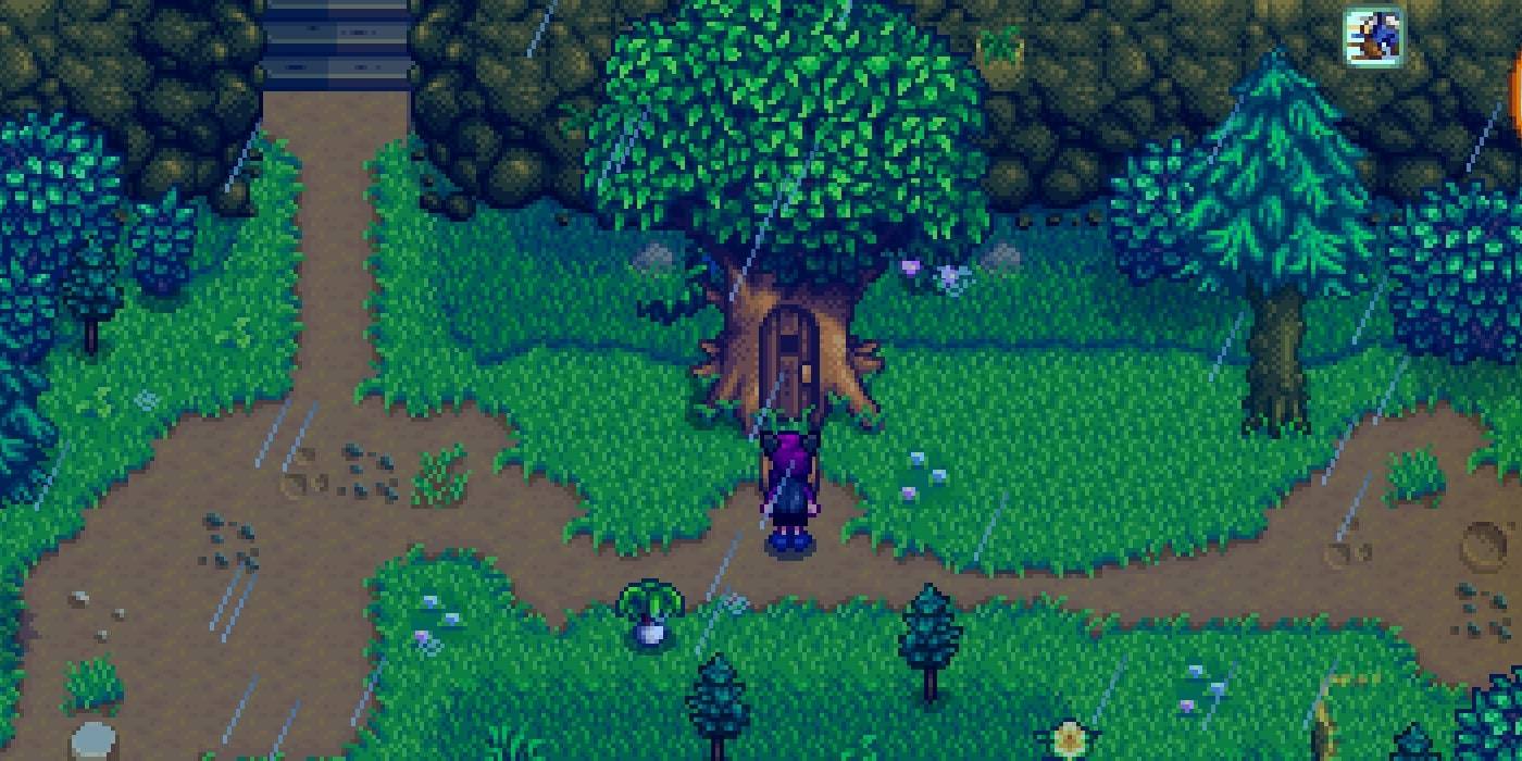 Stardew Valley Everything You Need To Know About Leo Stardew Valley Everything You Need To Know About Leo
