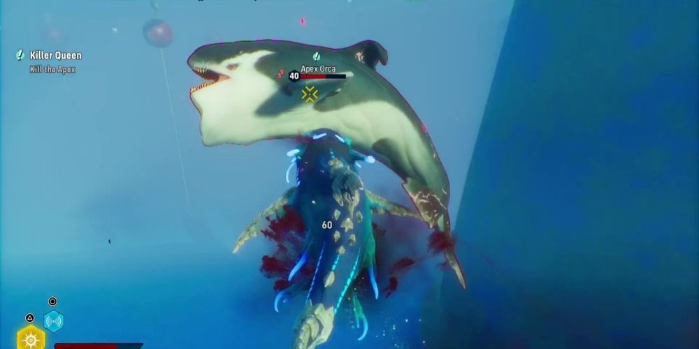 Maneater Dodging an Orca