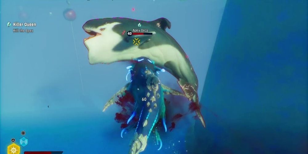 Maneater A Guide To Shark Combat