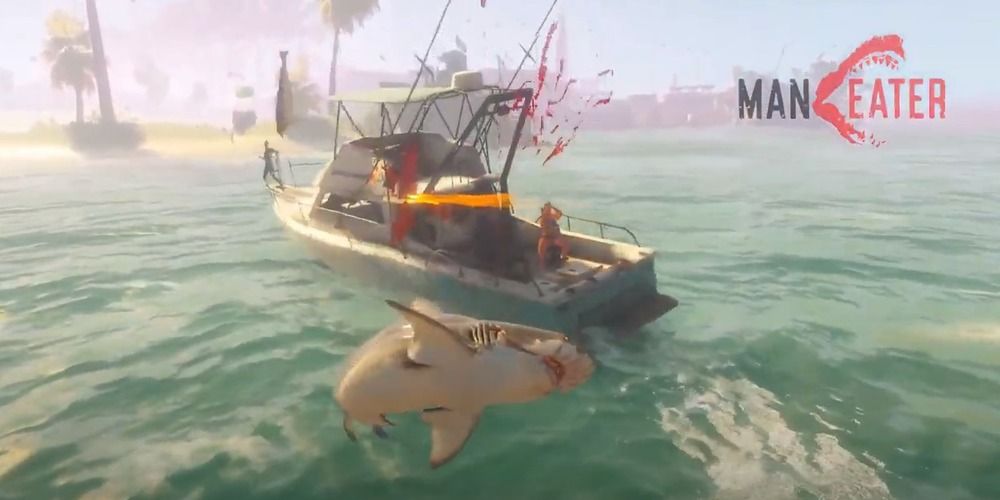 Maneater A Guide To Shark Combat