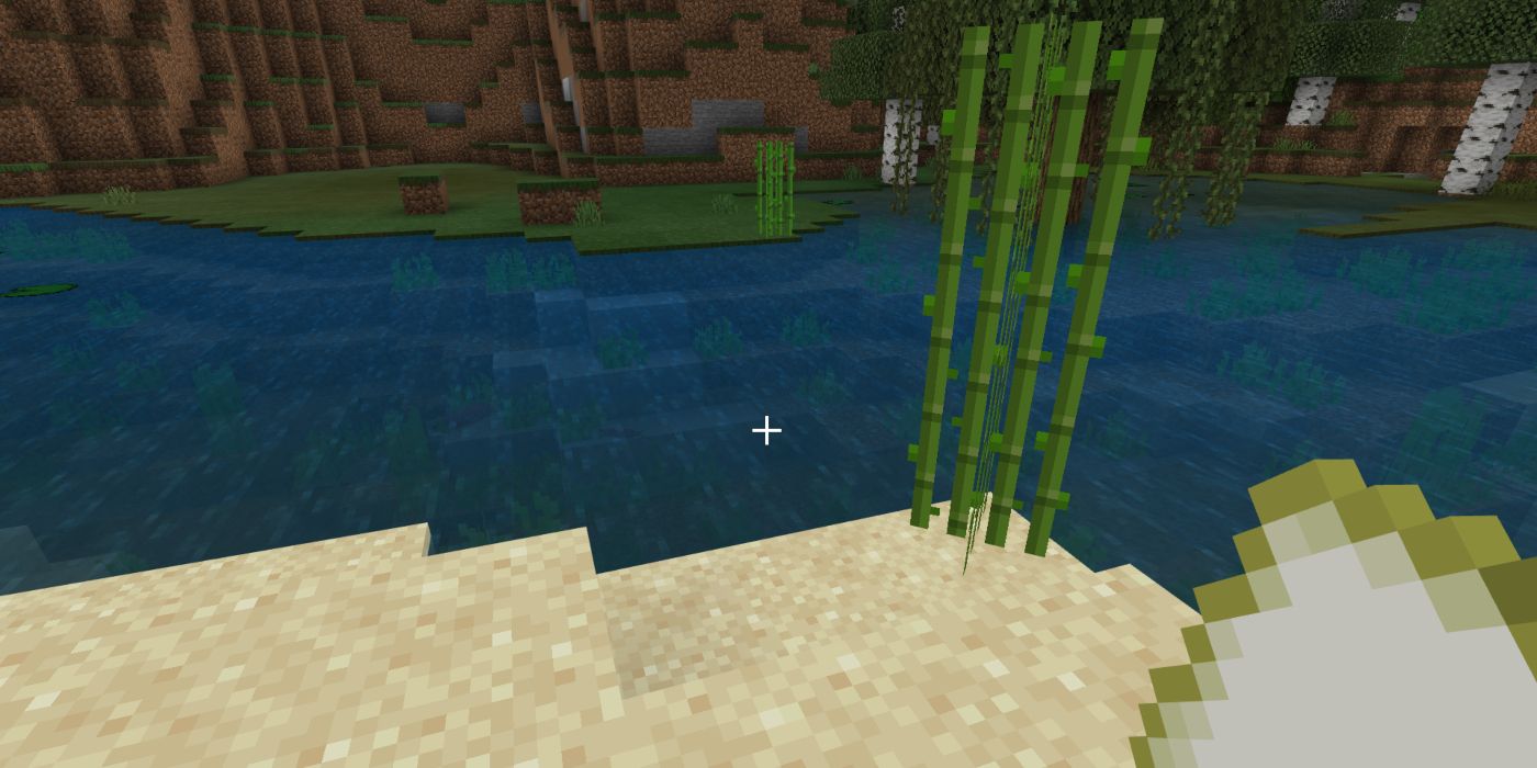Minecraft Screenshot Of Sugar Cane