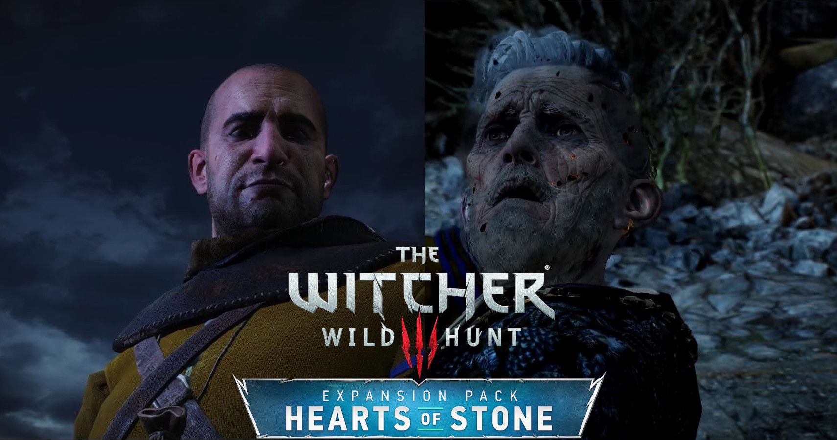 witcher 3 a wild heart