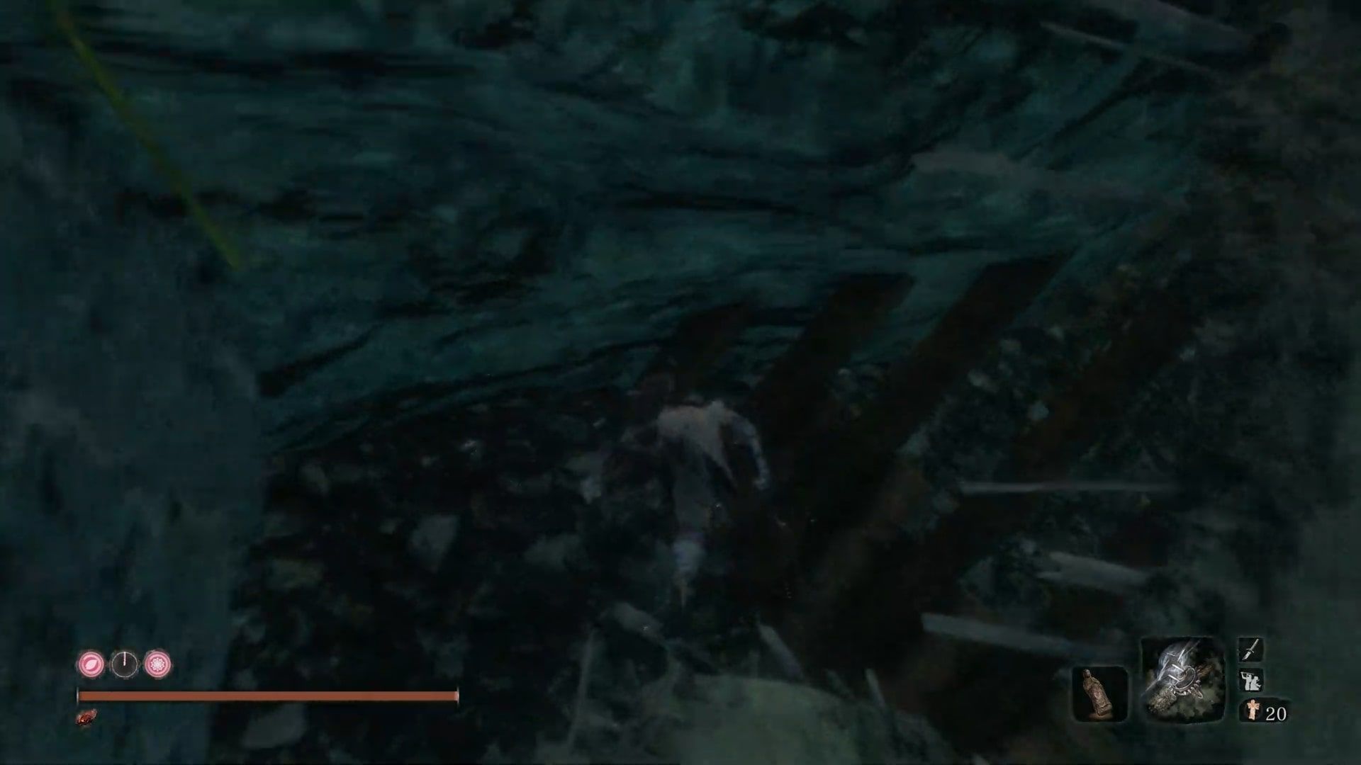 Sekiro Swimming Into A Wall