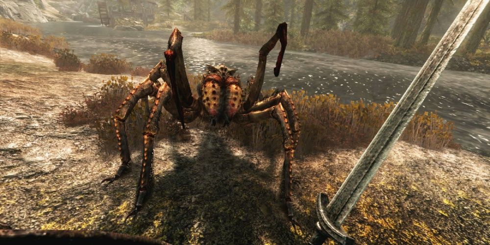 Skyrim Fighting A Giant Spider With A Longsword
