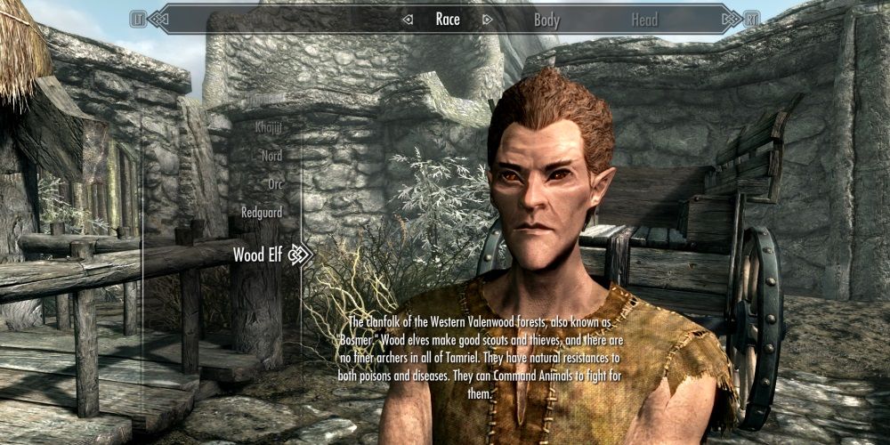 The Skyrim: The Wood Elf race in the character creation menu, with the full description at the bottom.