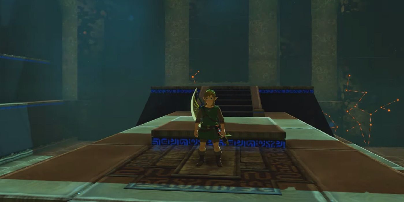 The Legend of Zelda Link enters 'Dungeon136'