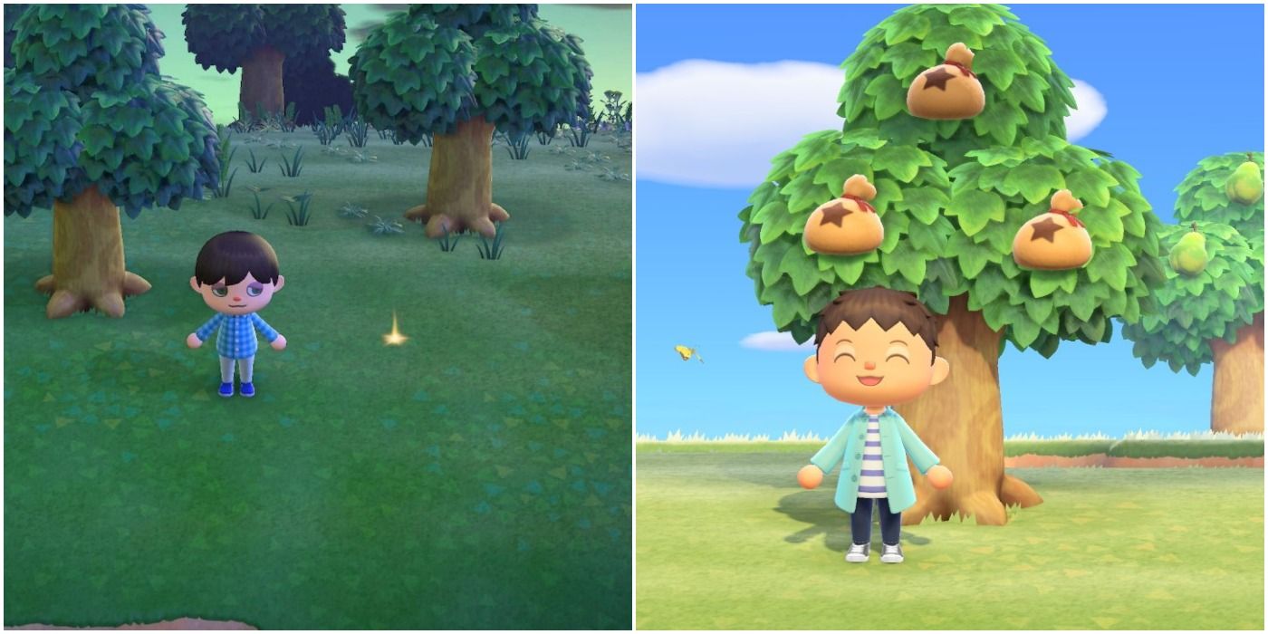 Dig up bells to grow a money tree in Animal Crossing: New Horizons