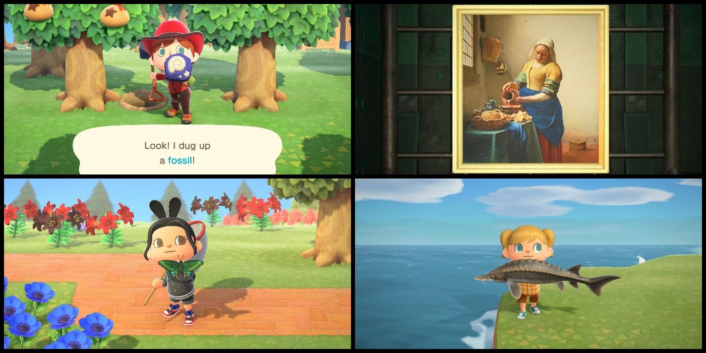 Museum Items in Animal Crossing: New Horizons