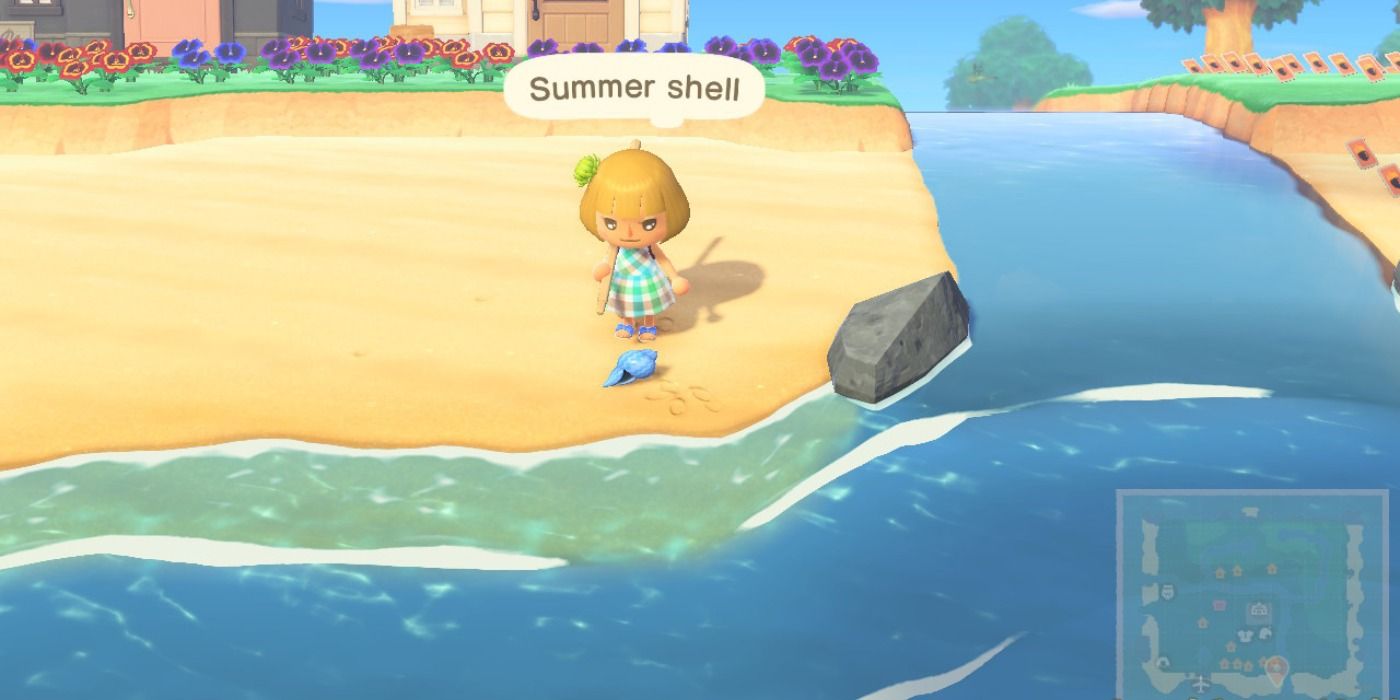 Shells on the beach in Animal Crossing