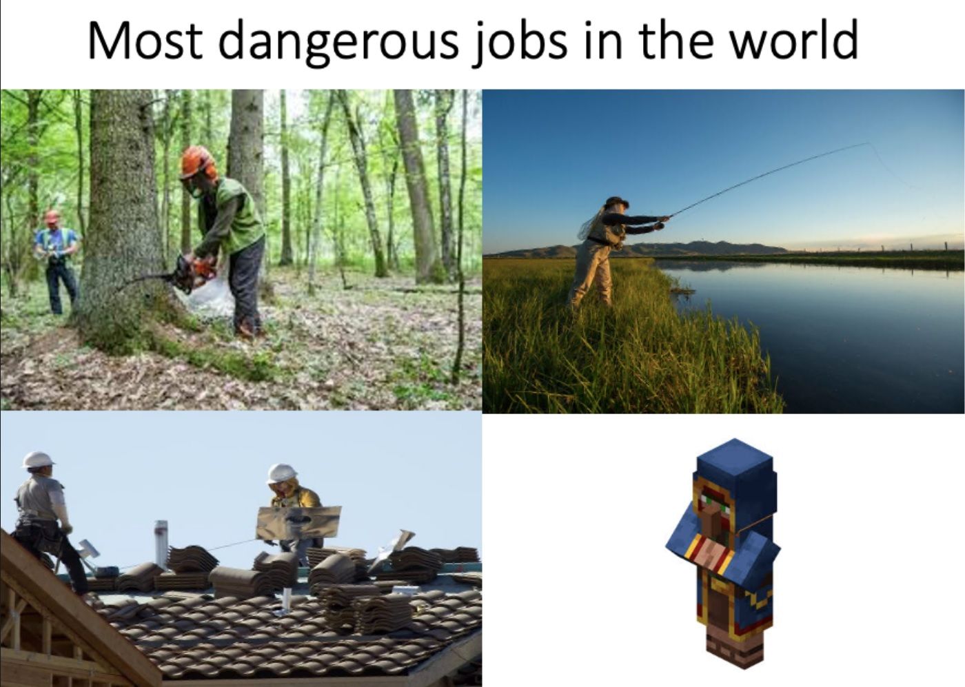 most dangeorous job minecraft meme