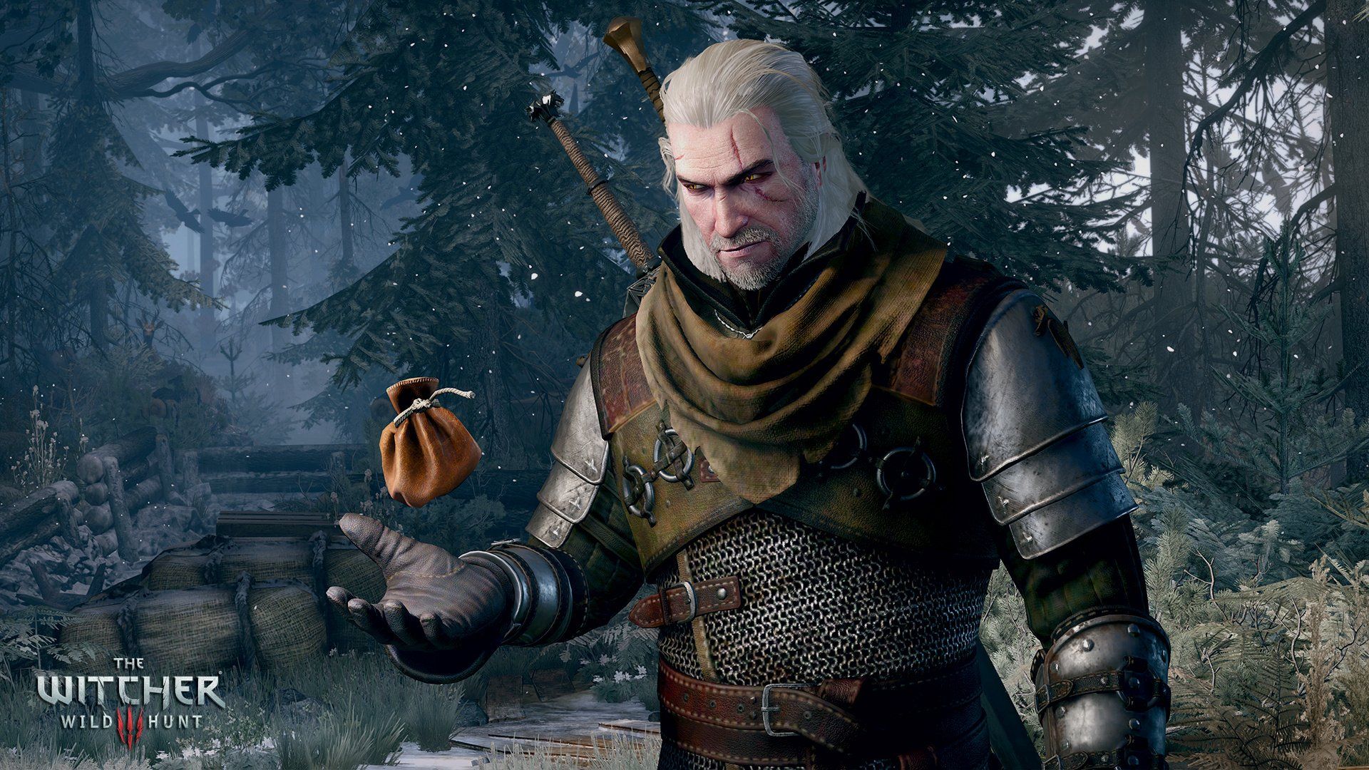 Geralt with a coin pouch