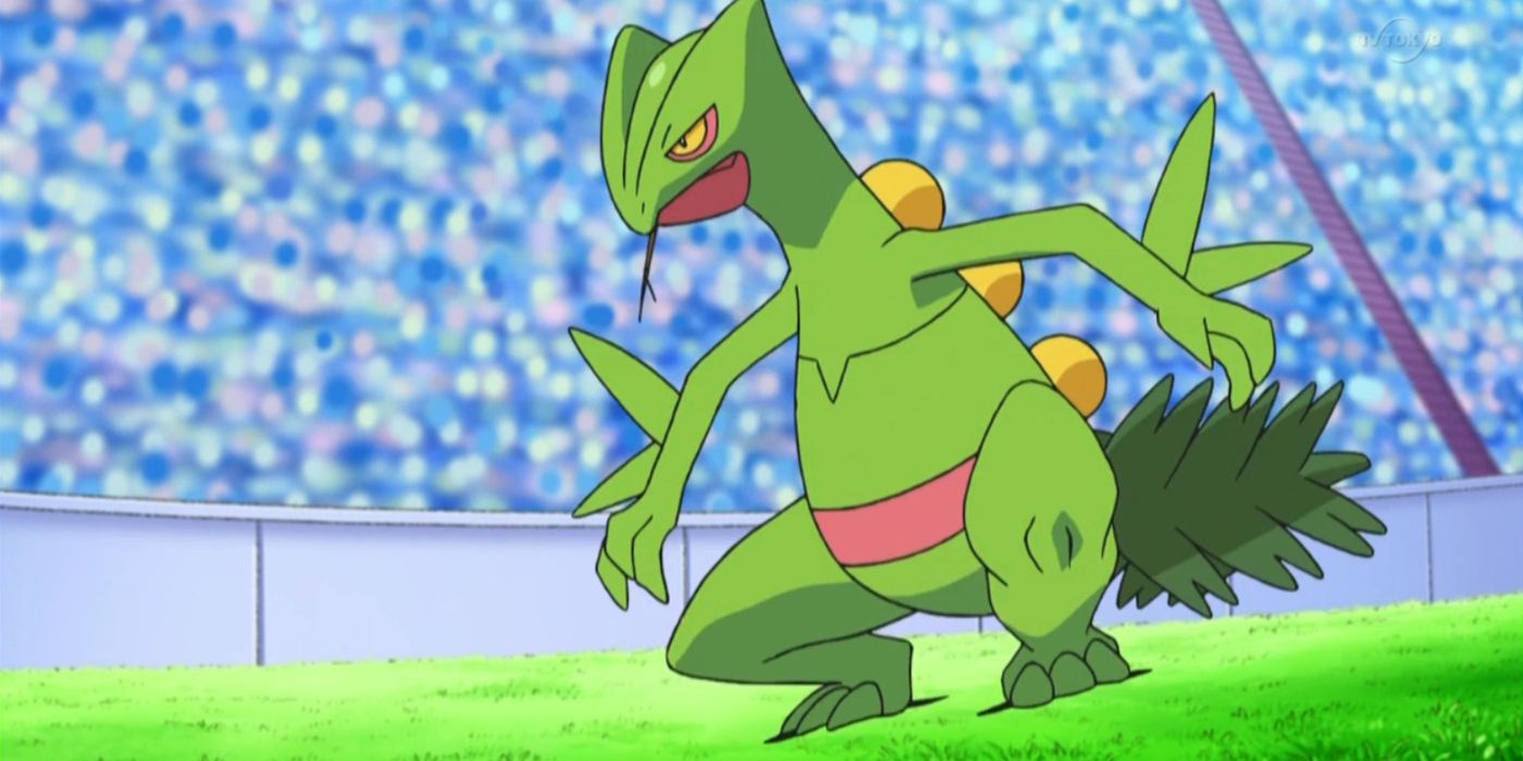 Treecko Pokémon universe Pokémon Emerald Grovyle Sceptile, blue line, leaf,  grass png | PNGEgg