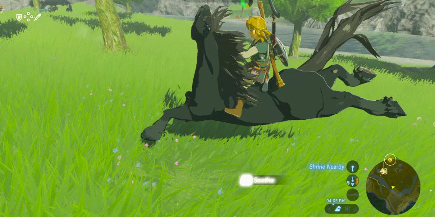 Breath of the Wild Horse Taming