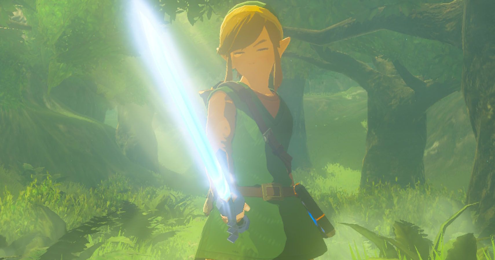 Breath of the Wild Master Sword Link