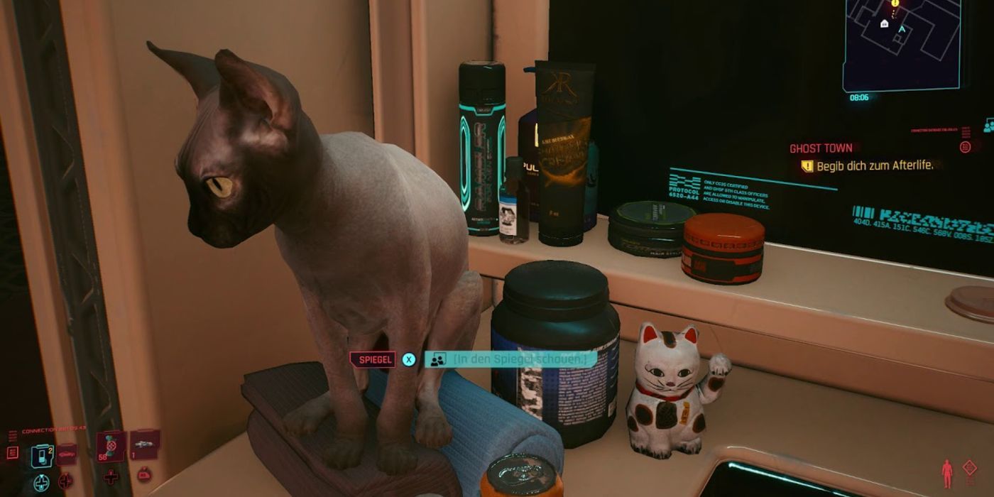 Cyberpunk 2077 update adds transmog and cat pictures