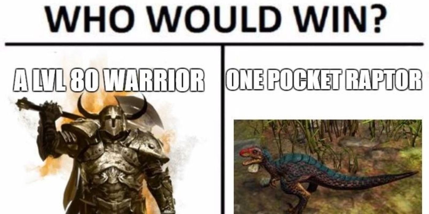 Guild Wars 2 pocket raptor meme