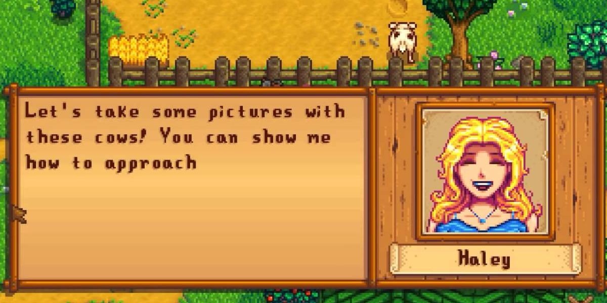 Stardew Valley A Complete Guide To Marrying Haley