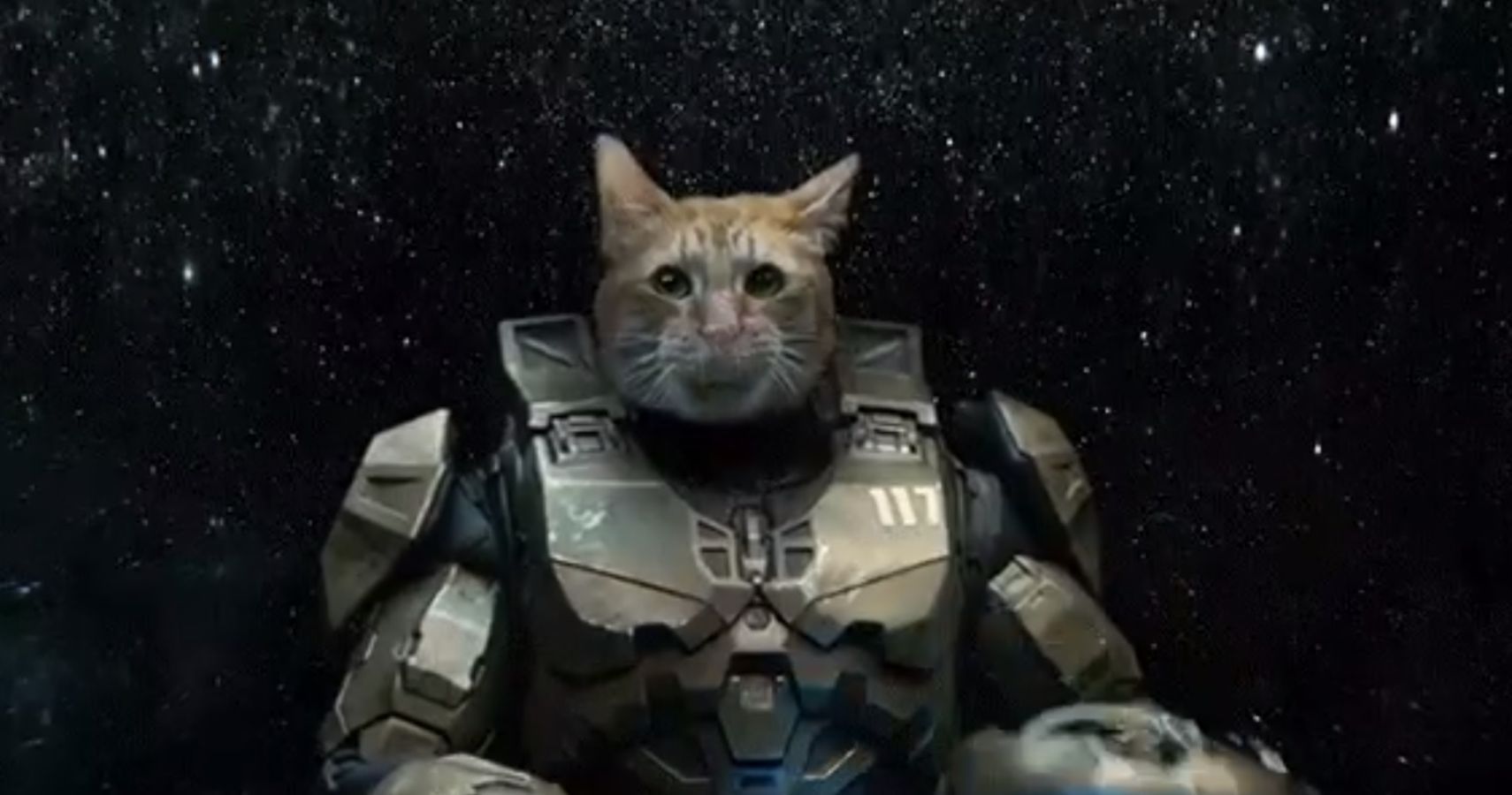 Halo Reveals Master Chiefs Face And Hes A Cat