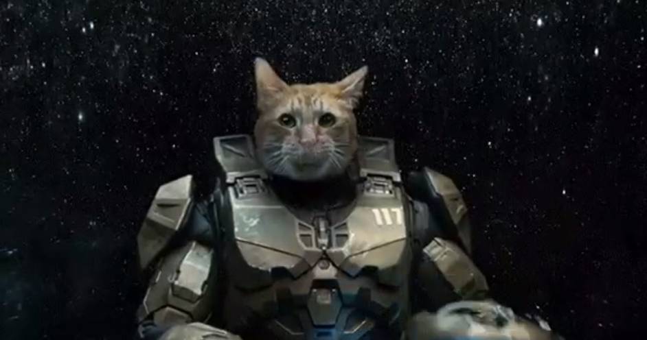 Halo Reveals Master Chief S Face And He S A Cat