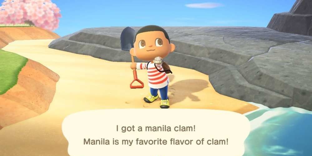 10 Things Still Missing In Animal Crossing New Horizons