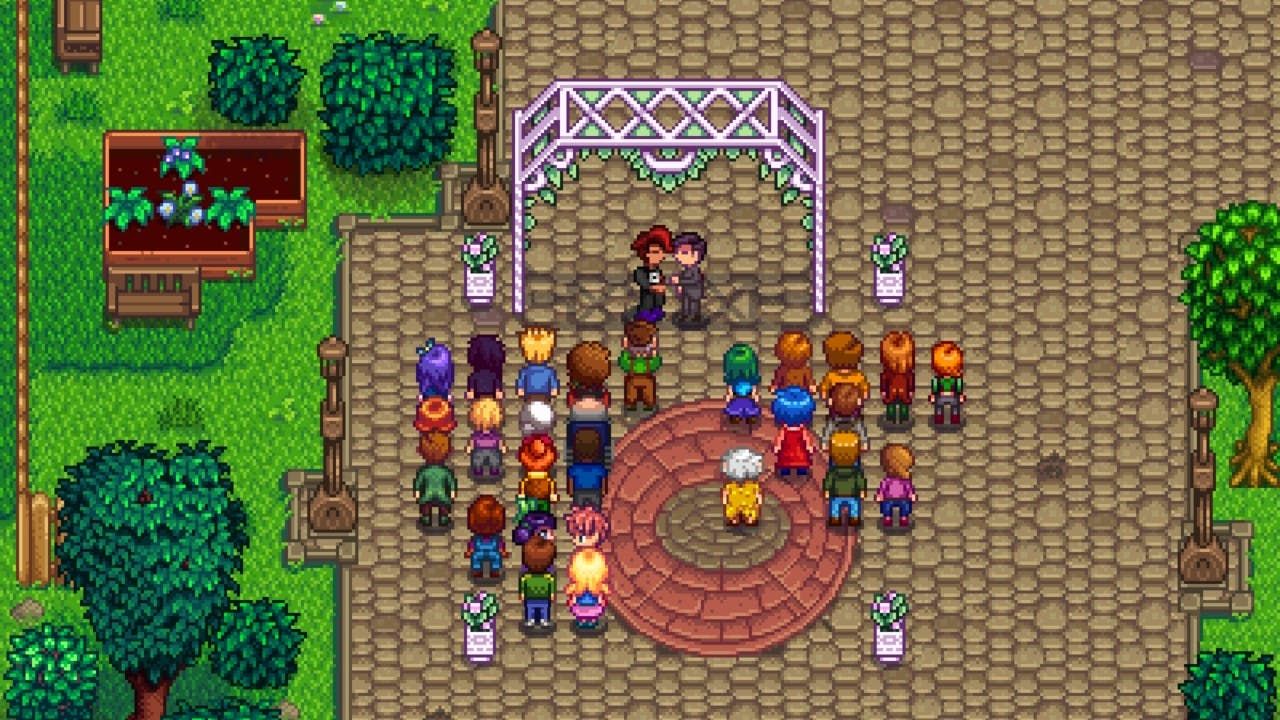 marrying shane stardew valley marriage